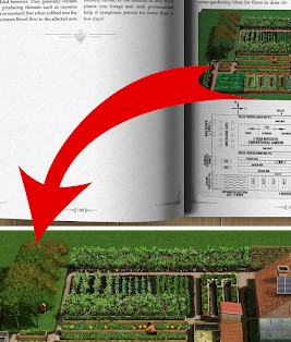 Self Sufficient Backyard