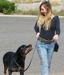 Brain Training for Dogs